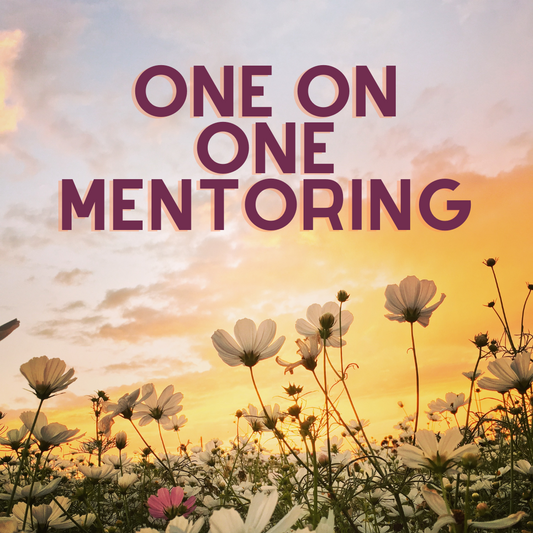 One-on-One Mentoring